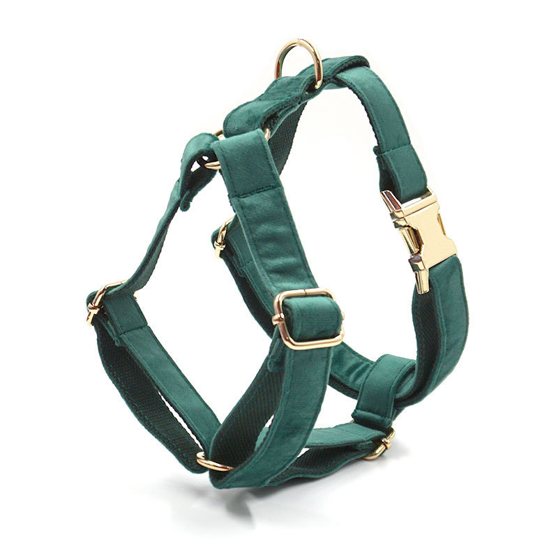 Green Velvet Dog Collar Dog Leash Pet Collar - Image 5
