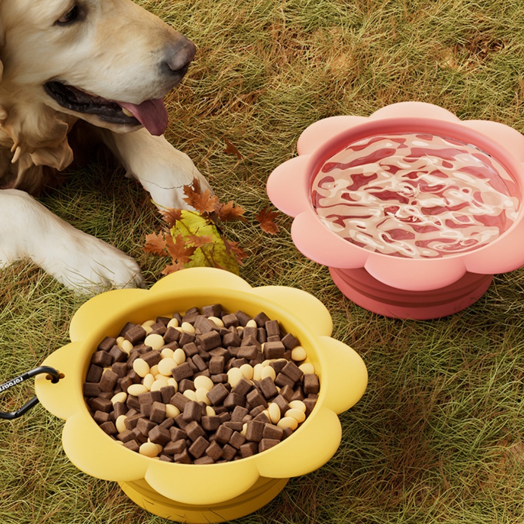 Pet Flower Folding Bowl Silicone Outdoor Portable Drinking Bowl - Image 5