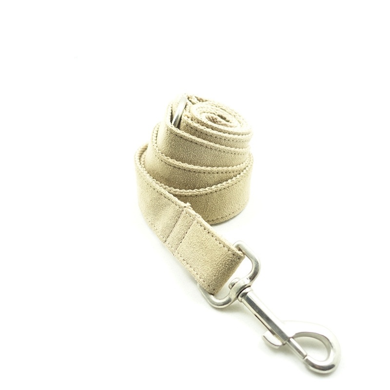 Creative design teddy dog leash - Image 4