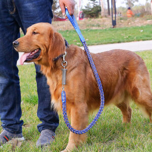 Leather Traction Rope Chain Explosion-proof Punch Collar