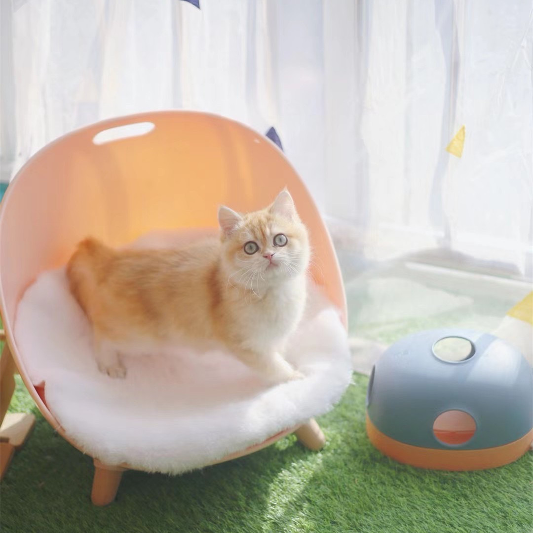 Cat Turntable Cat Toy - Image 5
