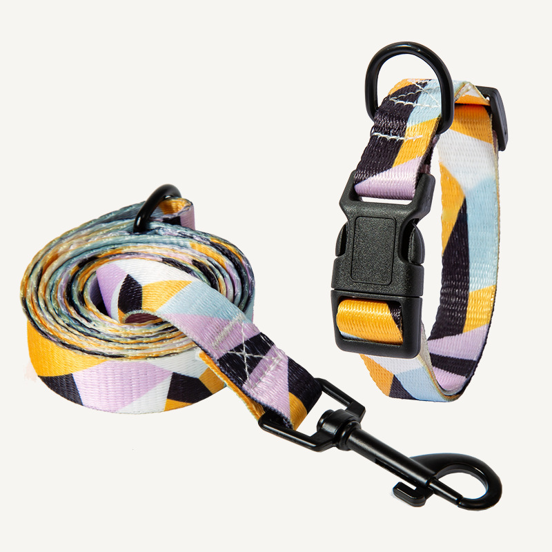 Dog Collar Neck Collar Pet Leash - Image 10