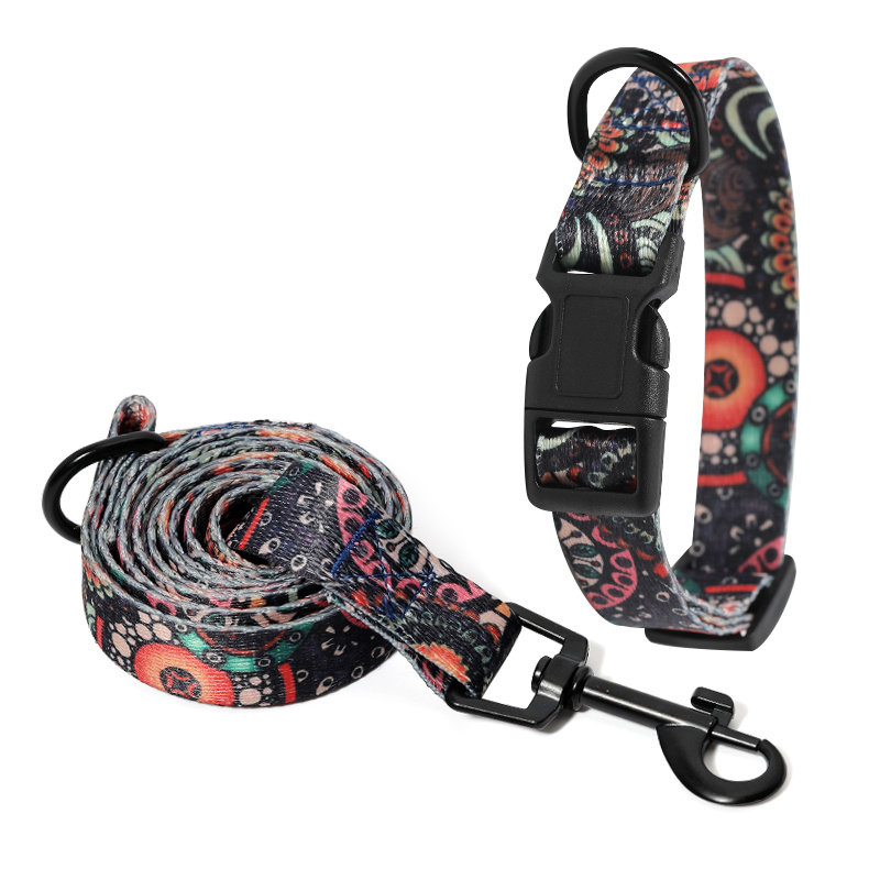 Dog Collar Neck Collar Pet Leash - Image 8