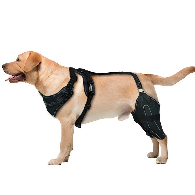 Pet Leg And Joint Protection Sleeves - Image 2