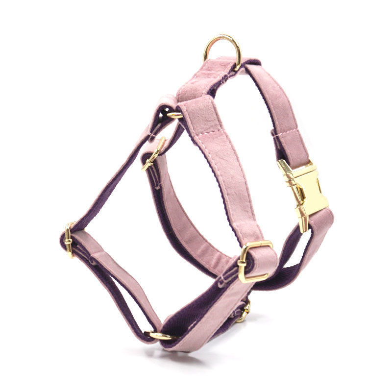 Green Velvet Dog Collar Dog Leash Pet Collar - Image 9